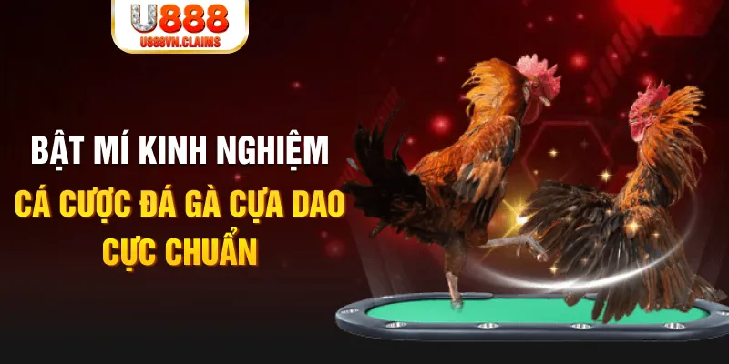 sh bet com trong baccarat, ai là người chia bài chính？