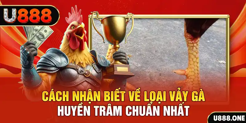 sh bet com Chú hề Patty tuổi teen