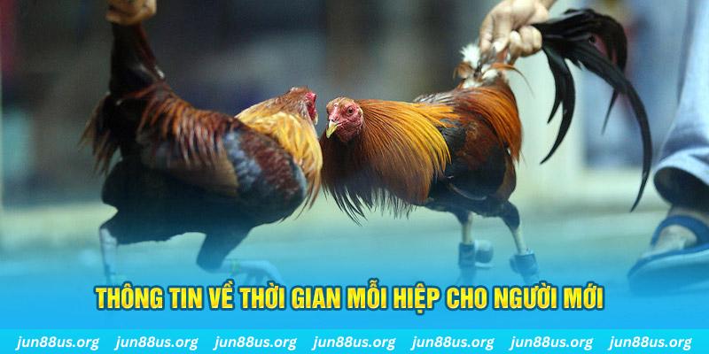 sh bet com Long Hổ 2