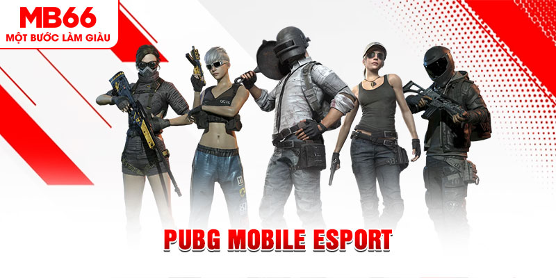 sh bet com gà chọi c1 mới nhất