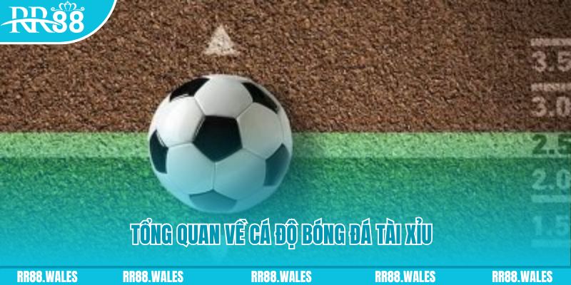 sh bet com JDB Điện Tử