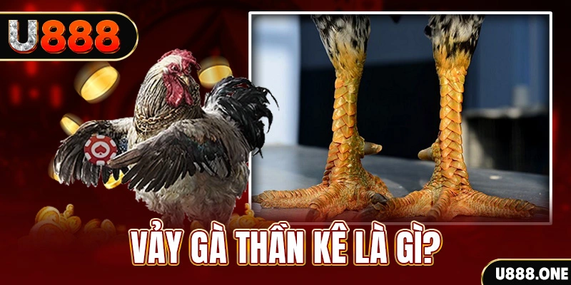 sh bet com xổ số miền bắc thứ tư hàng tuần