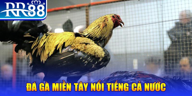 sh bet com đăng nhập liêng miễn phí