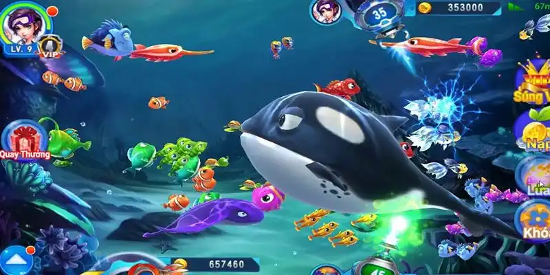 sh bet com truc tiep da ga