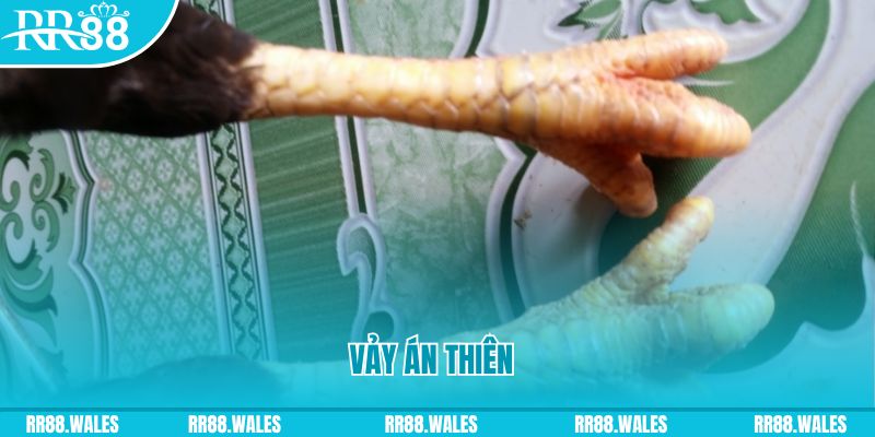 sh bet com who wants to be a millionaire slot