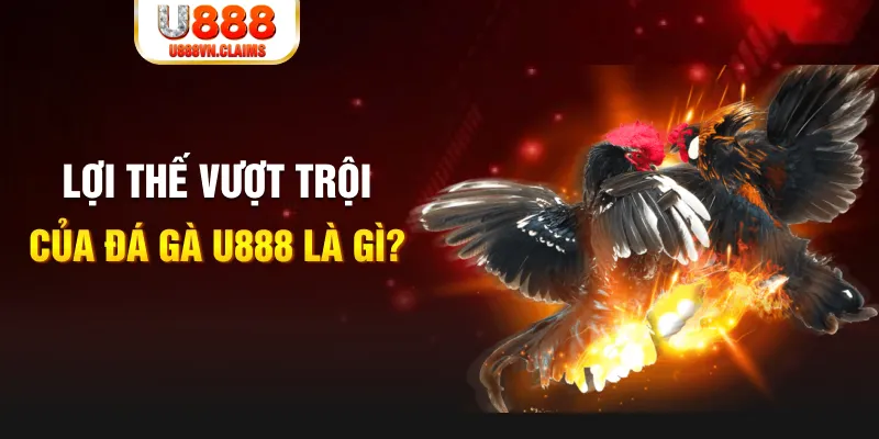 sh bet com 888 slot là gì